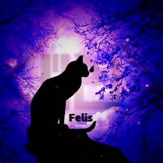 Felis by M2U