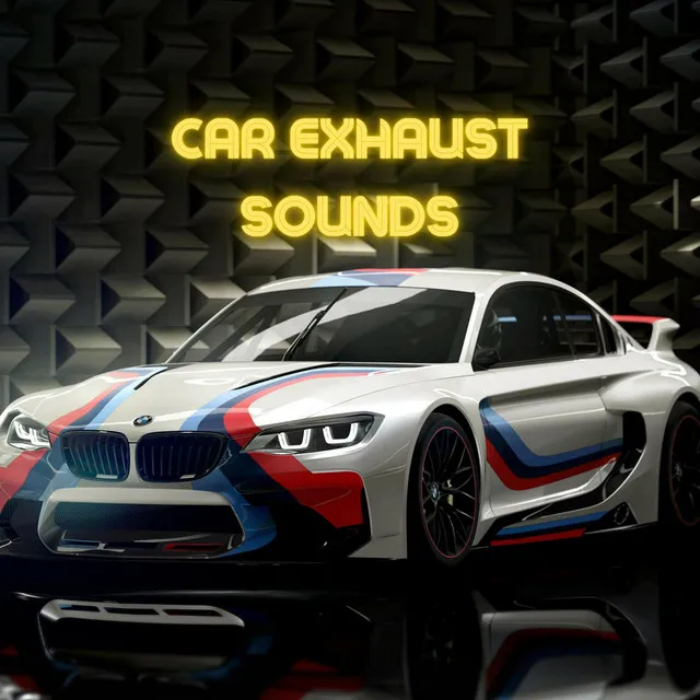 BMW M Sounds M8 AC Schnitzer M850i, X6M Akrapovic, M6 GT3