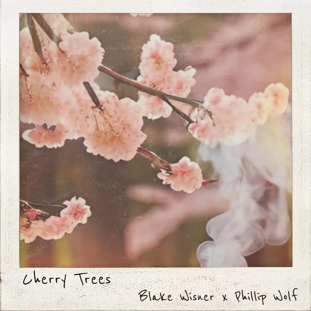 Cherry Trees