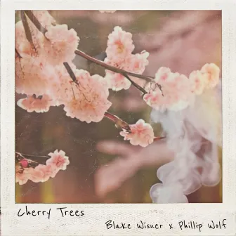 Cherry Trees by Blake Wisner