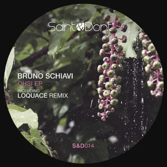 Ohsi EP by Bruno Schiavi