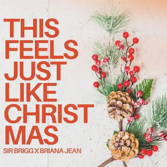 This Feels Just Like Christmas by Briana Jean