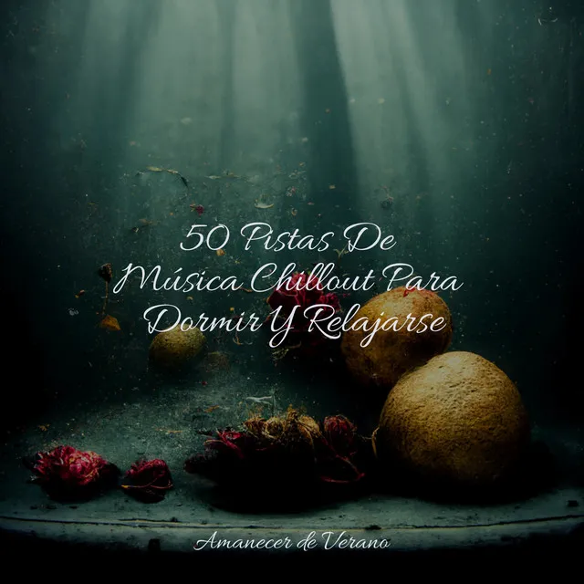 50 Pistas De Música Chillout Para Dormir Y Relajarse