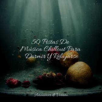 50 Pistas De Música Chillout Para Dormir Y Relajarse by kinderliedjes