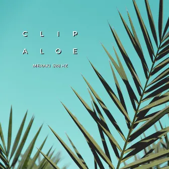 Meraki 528 Hz by Clip Aloe