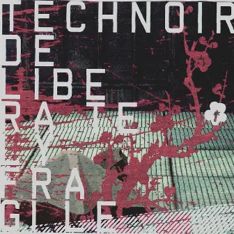 Deliberately Fragile (Bonus Disc) by Technoir