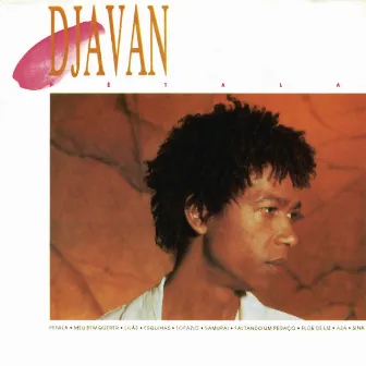 Grandes Sucessos by Djavan