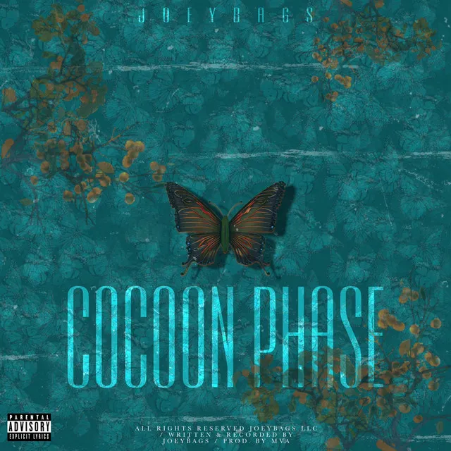 Cocoon Phase