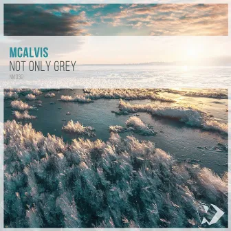 Not Only Grey by McAlvis