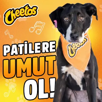 Umut by Cheetos