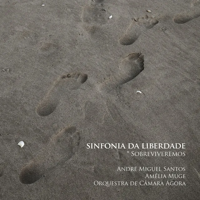 Sinfonia da Liberdade: IV