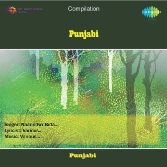 Punjabi by Naarindwr Bida