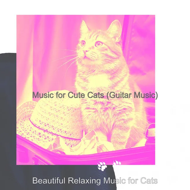 Music for Cute Cats (Guitar Music)