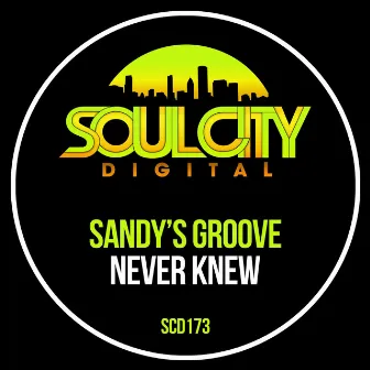 Never Knew by Sandy's Groove