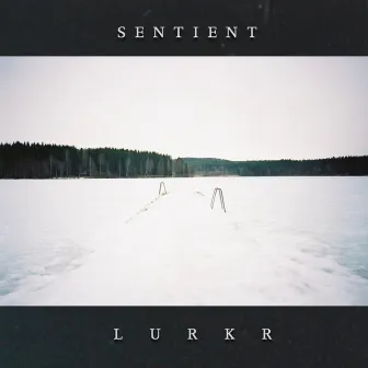 Lurkr. by Sentient