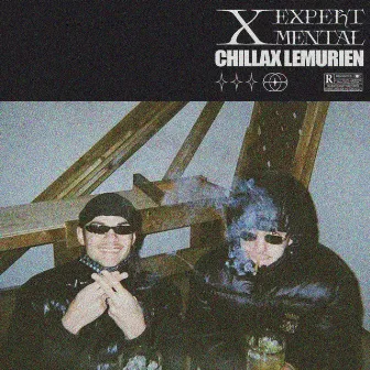 Expert X Mental by Lémurien