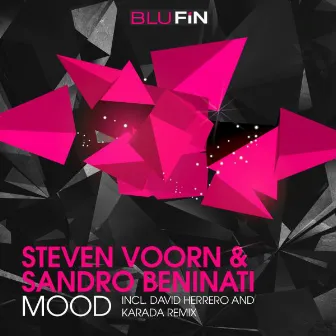 Mood by Steven Voorn