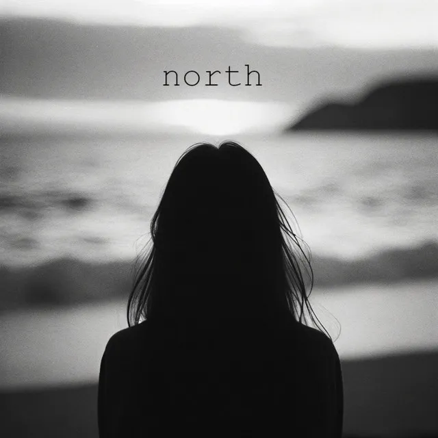 north