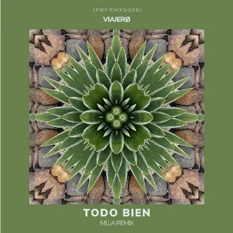 Todo Bien by Viajerø