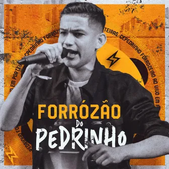 Forrózão Do Pedrinho by Pedrinho Forrozeiro