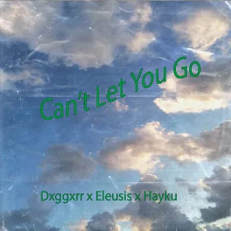 Can't Let You Go by Dxggxrr