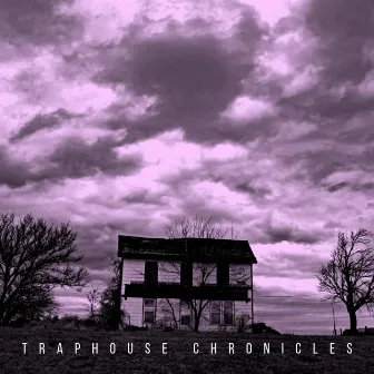 Traphouse Chronicles by Donn Dada