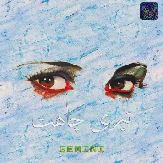 Teri Chahat by Gemini Djs