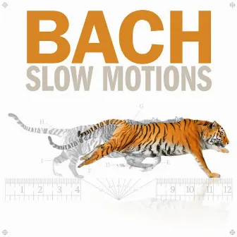 Bach Slow Motions by Axel Gillison