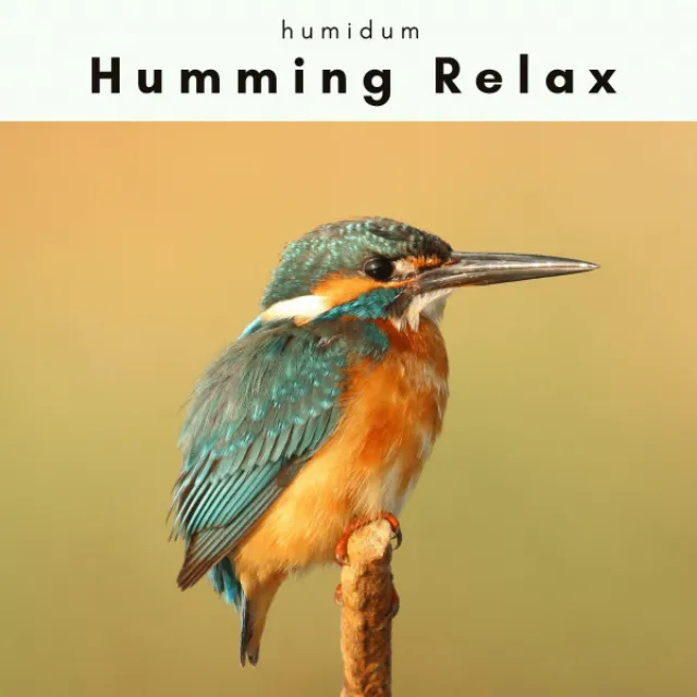 A Humming Relax