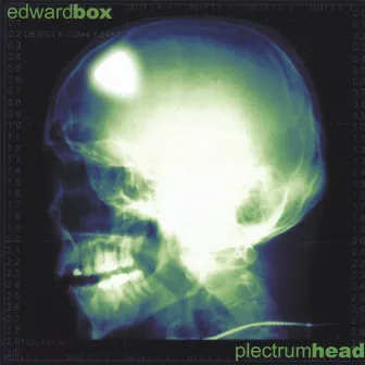 Plectrumhead by Edward Box