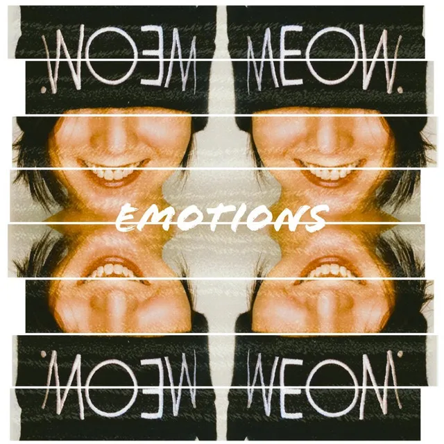 Emotions