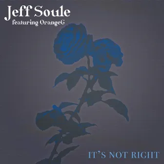 It's Not Right by Jeff Soule