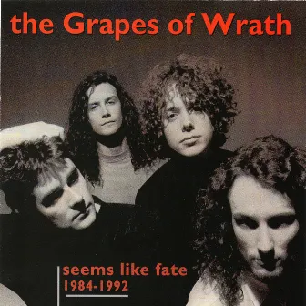 Seems Like Fate (1984-1992) by The Grapes Of Wrath