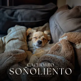 Cachorro Soñoliento by Música para Mascotas