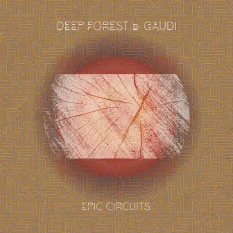 Epic Circuits by Gaudi