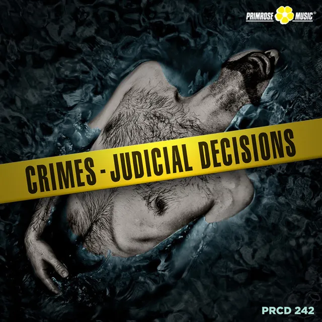 Crimes - Judicial Decisions