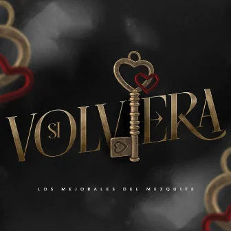 Si Volviera by Los Mejorales Del Mezquite