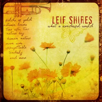 What A Wonderful World by Leif Shires