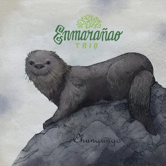 Chungungo by Trio Enmarañao