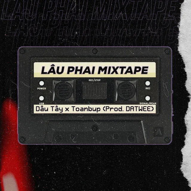 Lâu Phai Mixtape