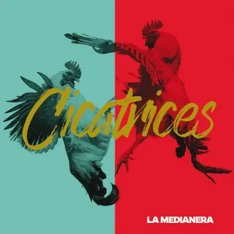 Cicatrices by La Medianera