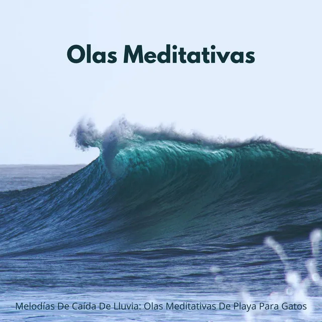 Melodías De Caída De Lluvia: Olas Meditativas De Playa Para Gatos