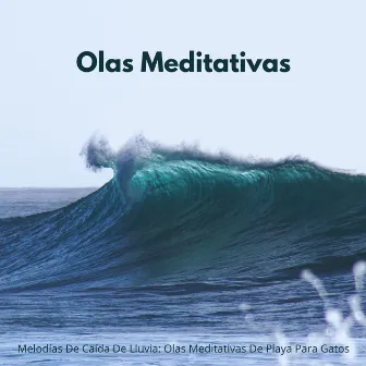 Melodías De Caída De Lluvia: Olas Meditativas De Playa Para Gatos by Océano en HD