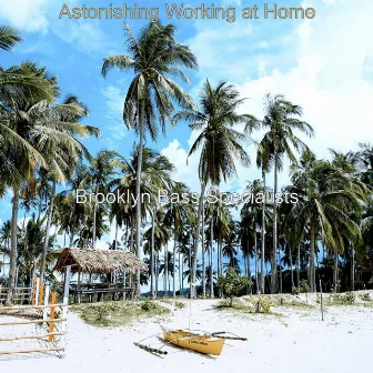 Astonishing Working at Home by Brooklyn Bass Specialists