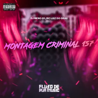 Montagem Criminal 157 by MC LUIZ DO GRAU