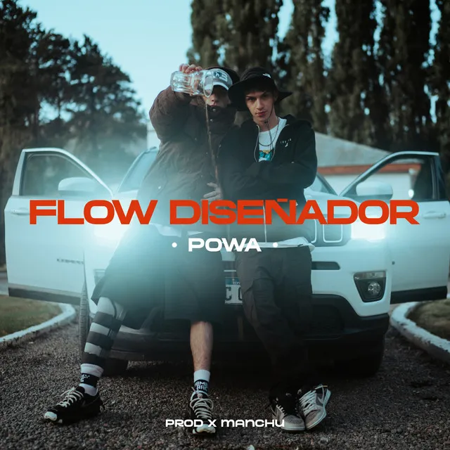 Flow Diseñador