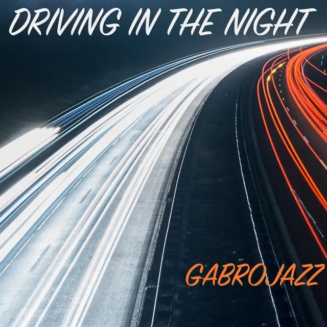 Driving In The Night