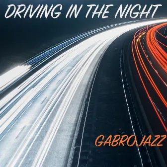 Driving In The Night by GabroJazz