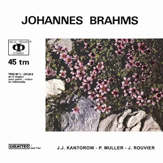 Johannes Brahms: Piano Trio No. 1 in B major, Op. 8 (revised version, 1889) by Philippe Muller