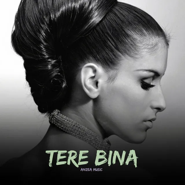 Tere Bina